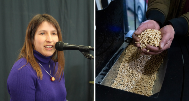 Los Lagos: ANEF reformulará acusación contra seremi acusada de “saltarse la fila” para comprar pellet