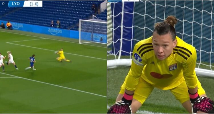 Tapadón de Tiane Endler