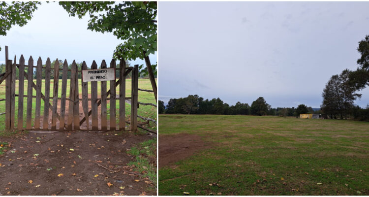 Amparo Montoya | RBB Valdivia