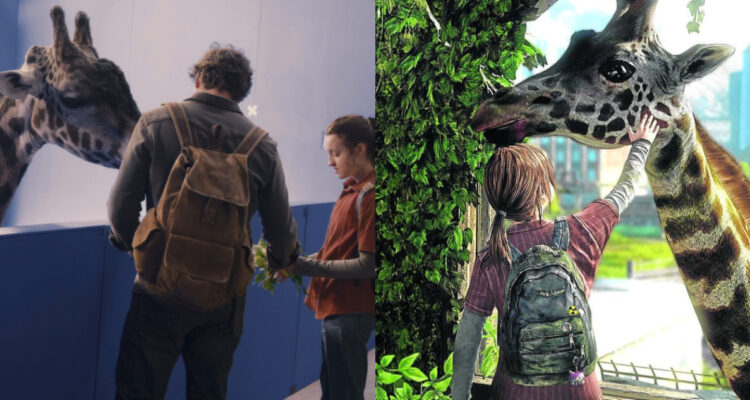 Escena de la jirafa en The Last Of Us fue real