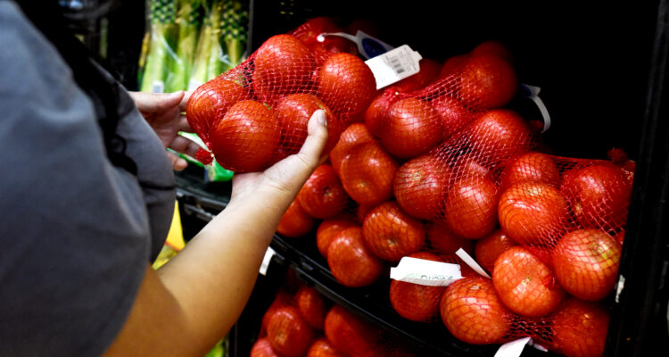 Gobierno detalla alimentos que por temporada ahora están más baratos, entre ellos porotos y tomates