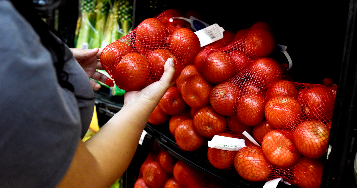 Gobierno detalla alimentos que por temporada ahora están más baratos, entre ellos porotos y tomates