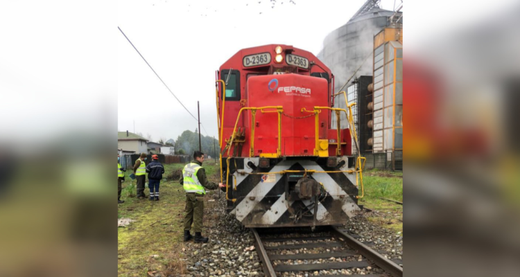 Hombre muere atropellado por tren en Paillaco: víctima estaba sentada en la línea férrea