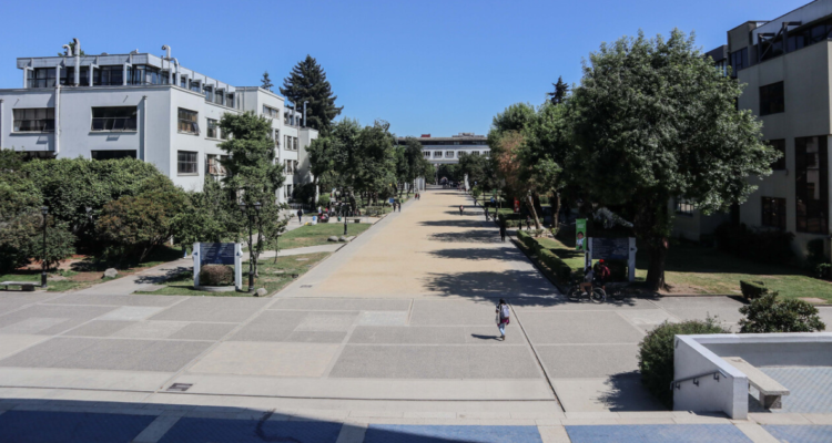 Detienen a 4 personas durante allanamiento en cercanías a la UdeC: tenían droga, armas y municiones