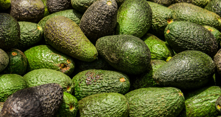 Alza valor kilo de palta