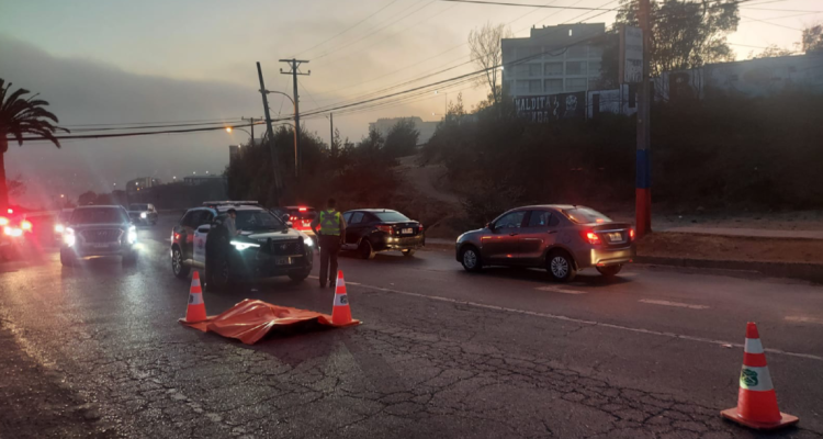 adulto mayor Viña Mar