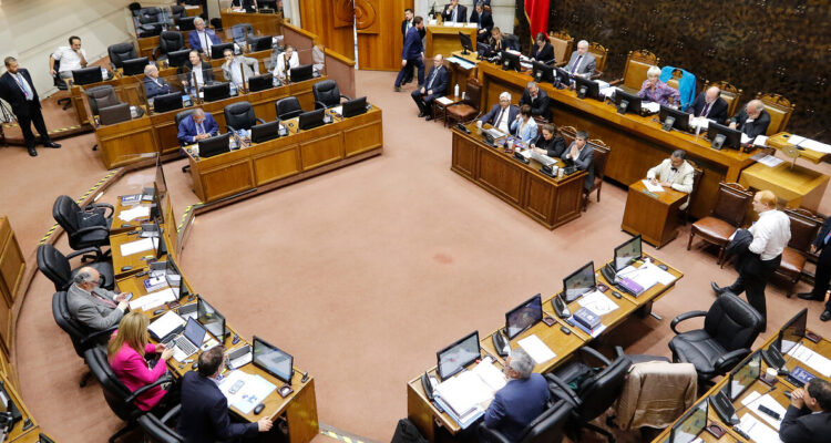 Foto contexto Senado y Ley Naín-Retamal