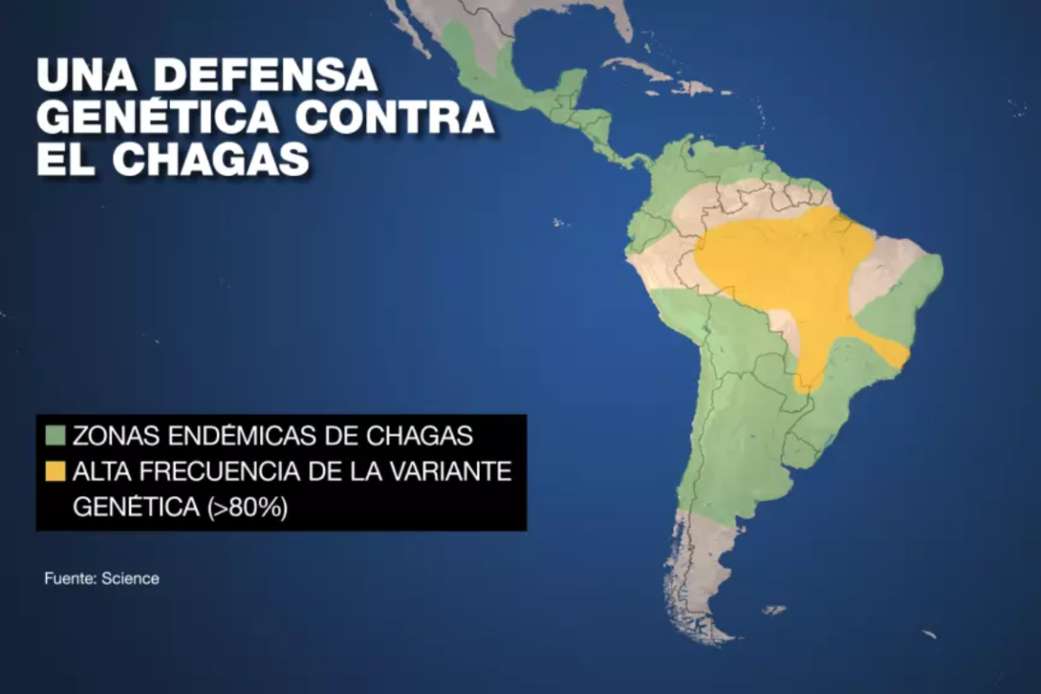 Mapa de zonas endémicas de Chagas