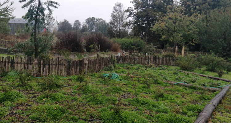 aguas residuales humedales