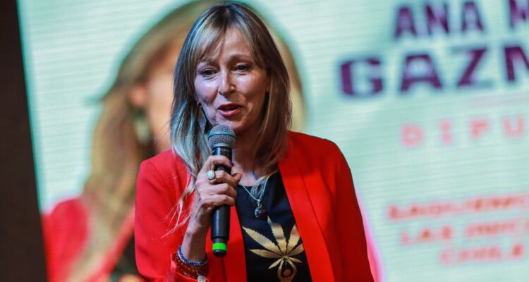 Diputados pro cannabis medicinal valoran que TC dejara a ley antinarcos lista para su promulgación