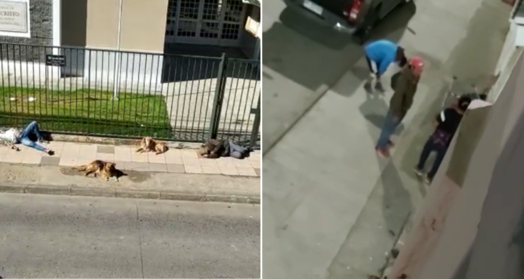 Desnudos y relaciones sexuales a pleno día: denuncian exhibicionismo de residentes de albergue en Tomé