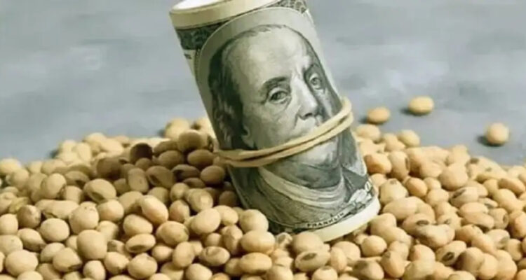 Argentina estrena el “dólar agro” y lanza medidas para fortalecer reservas mediante exportaciones