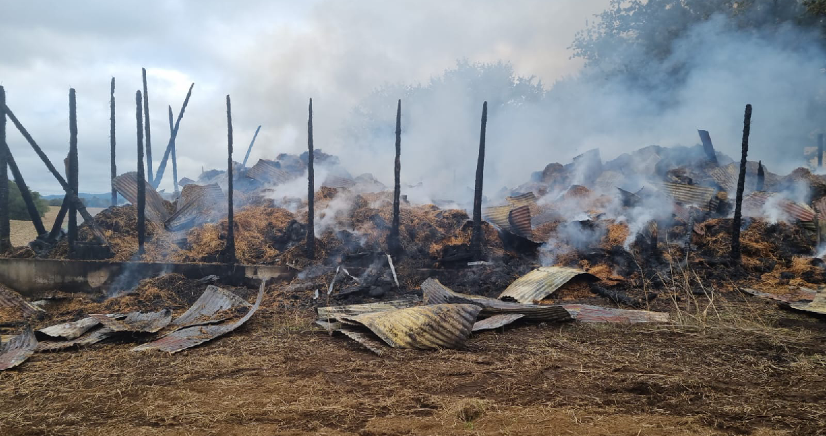 Ataque incendiario en fundo de La Unión se estiman pérdidas por $500 millones