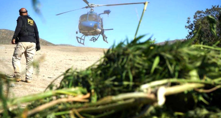 banda narco Los Vilos