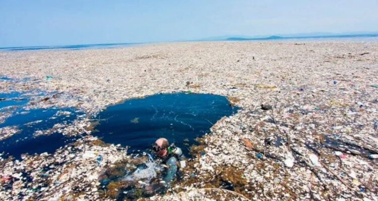 Descubren que ecosistemas marinos crecen en la mancha de basura del pacífico