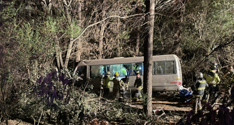 Bus de pasajeros protagoniza accidente de tránsito en camino al Parque Nahuelbuta en Angol