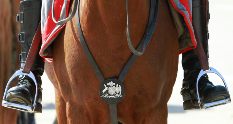 caballo escolta presidencial