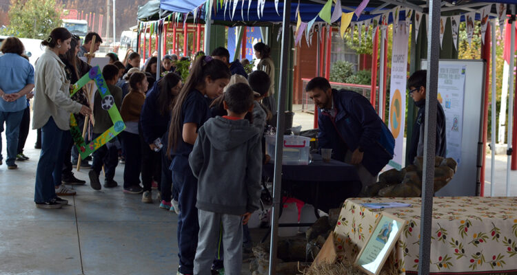 Fundación El Árbol