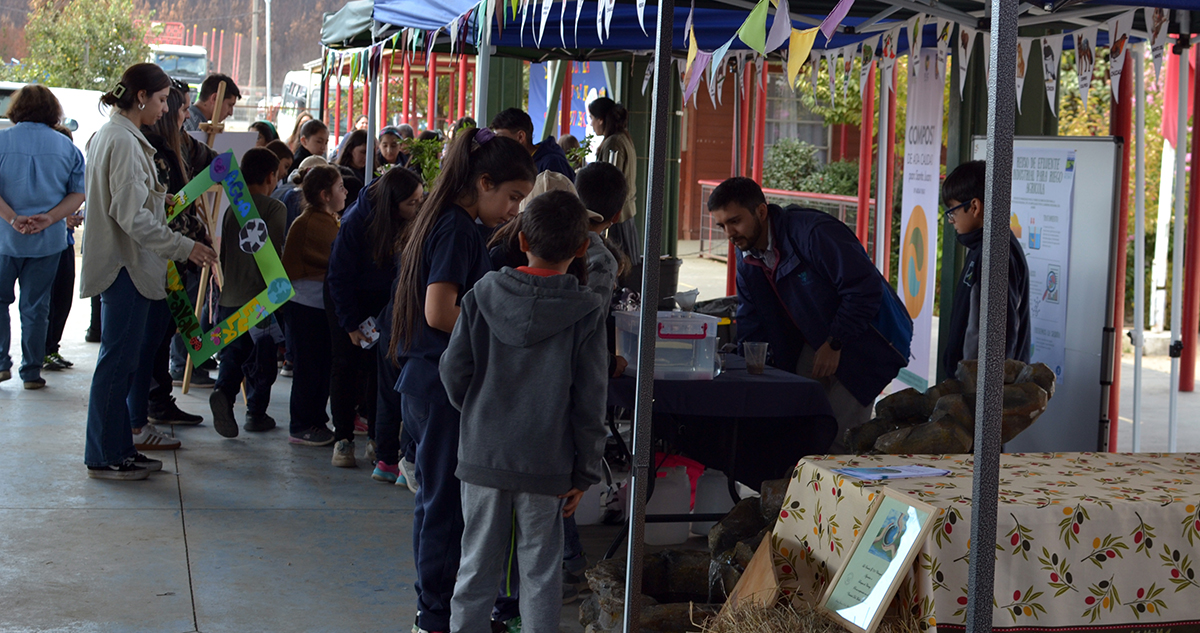 Fundación El Árbol