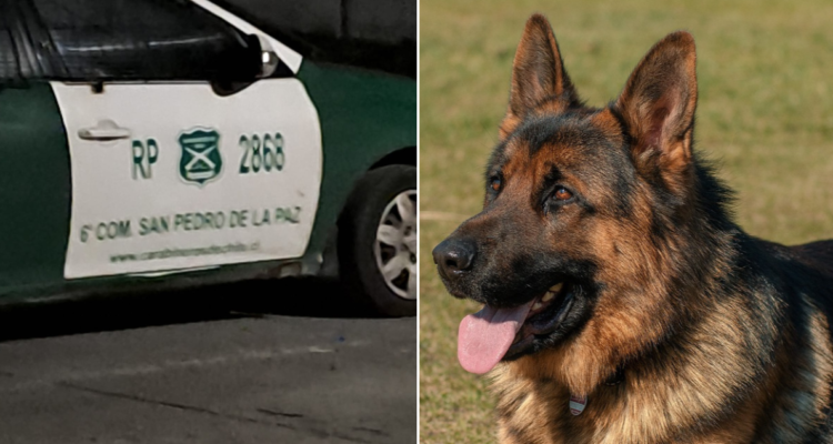 Confuso incidente: carabinero mata de un tiro a perro afuera de Cesfam en San Pedro de La Paz
