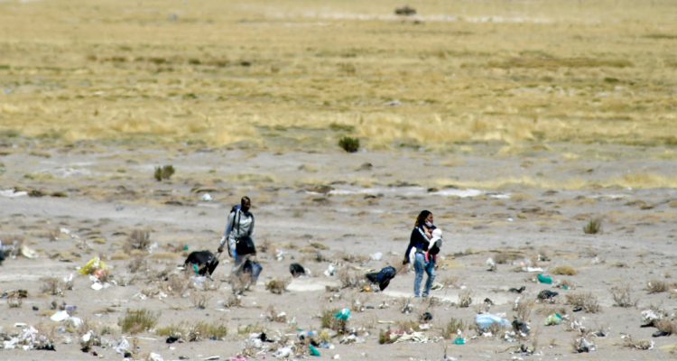 delito ingreso clandestino