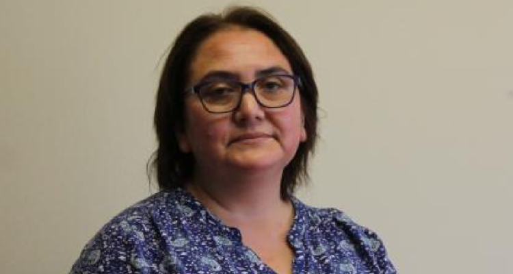 Denuncian a seremi de Energía en La Araucanía por acoso y maltrato laboral