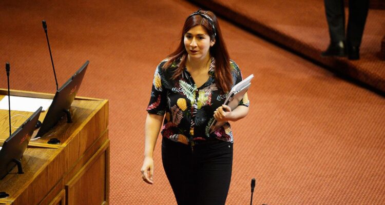Diputada Pérez (RD) advierte que Ley Naín-Retamal “no está a la altura” y no descartan acudir al TC