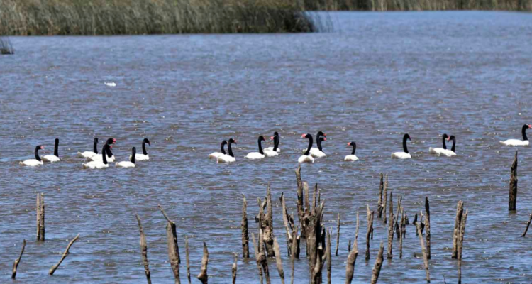 CONTEXTO| Miguel Ángel Bustos Agencia UNO