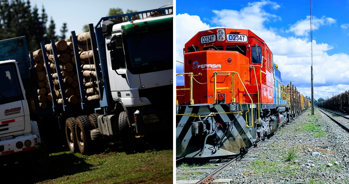 Transportistas de camiones forestales aseguran desmedro laboral y económico a causa de trenes.