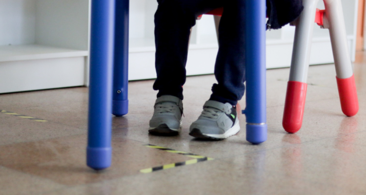 fecas ratón jardín Valdivia