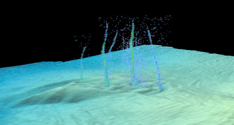 Detectan fuga sísmica en el Océano Pacífico