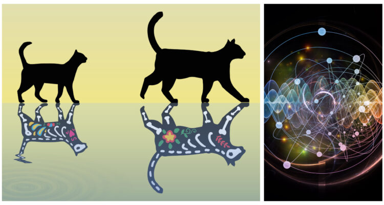 Una ilustración del gato de Schrödinger.