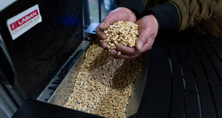 Gobierno descarta problemas en producción de pellet