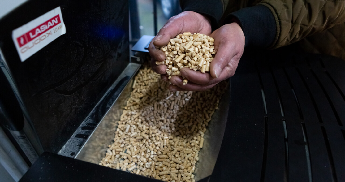 Gobierno descarta problemas en producción de pellet
