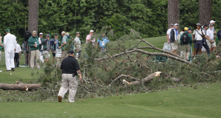 Un árbol obliga a detener el Masters de Augusta.