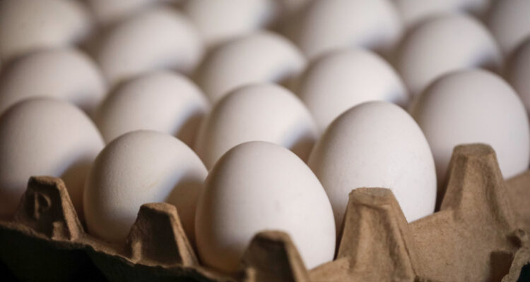 Gripe Aviar: Empresarios anticipan que podría afectar en precios, pero descartan alzas considerables