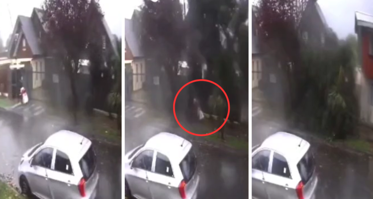 Niña de 4 años resulta herida por caída de árbol sobre su cabeza tras fuertes vientos en Chiguayante