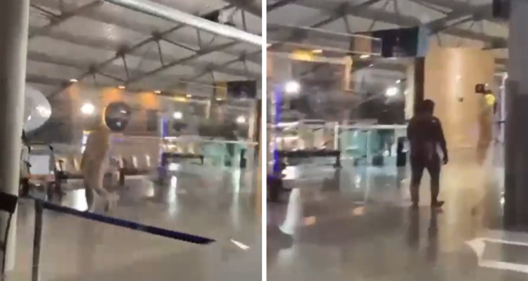 hombre desnudo en aeropuerto