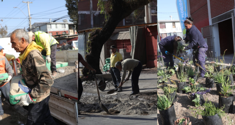 COMIENZA INTERVENCIÓN EN LOS QUILLAYES, COMO PARTE DE LA POLÍTICA DE RECUPERACIÓN DE BARRIOS EN LA FLORIDA