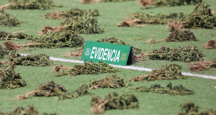 Ley Antinarco: los 5 puntos para entenderla y por qué fue revisada por el Tribunal Constitucional