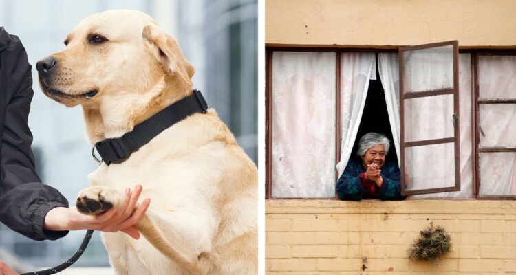 Desde este 13 de abril comienza a regir la nueva Ley de Copropiedad que actualiza reglamentos para temas como al tenencia de mascotas en edificios, departamentos y condominios