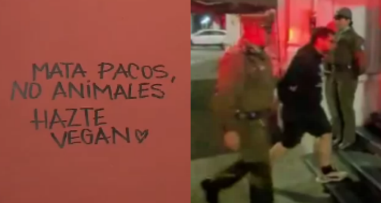 “Mata pacos, no animales”: los rayados que habría dejado profesor animalista en iglesia capitalina