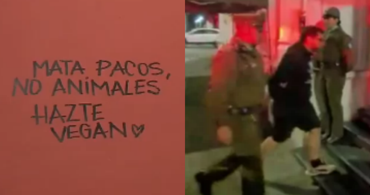 “Mata pacos, no animales”: los rayados que habría dejado profesor animalista en iglesia capitalina