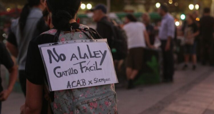 ir a organismos internacionales ley nain retamal