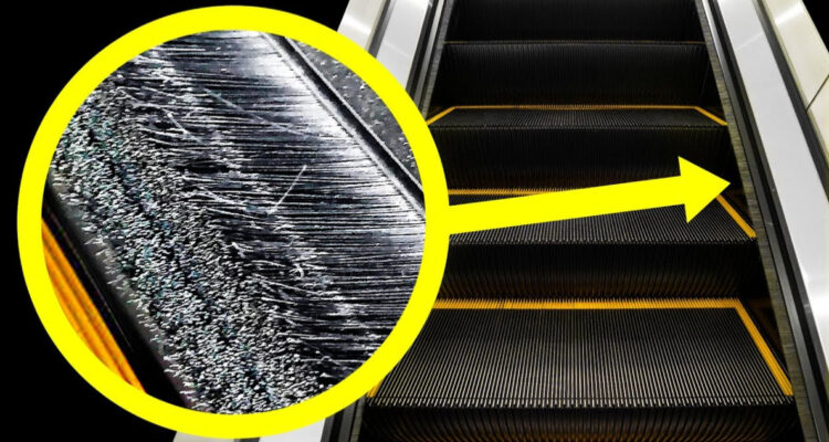CEPILLOS EN LA ESCALERA MECANICA