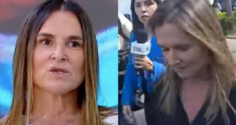 Mega extiende disculpas tras dichos de Paulina de Allende Salazar