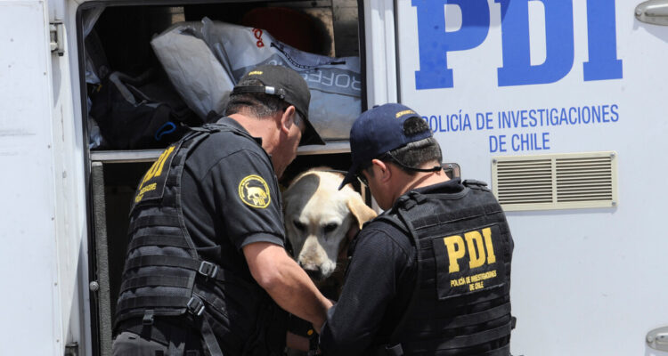 Más de 5 mil dosis de droga decomisadas y un detenido en operativo de la PDI en la Ruta 5 Sur