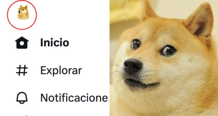 Por qué Twitter cambió su logo por el del perro meme de la criptomoneda Dodge