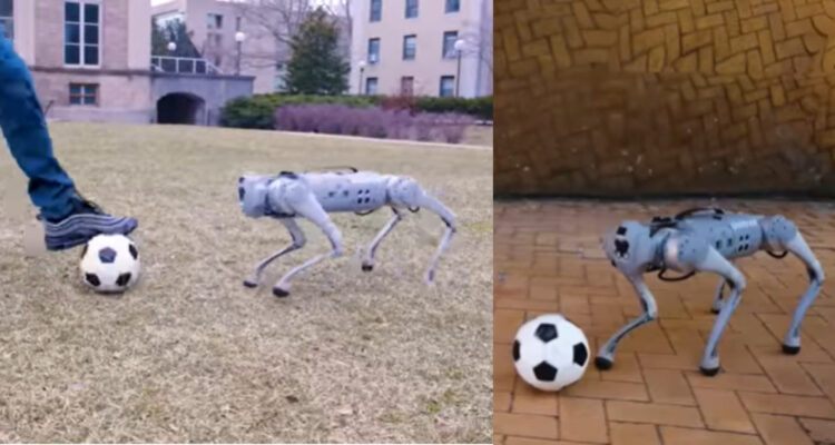 Crean un perro robot