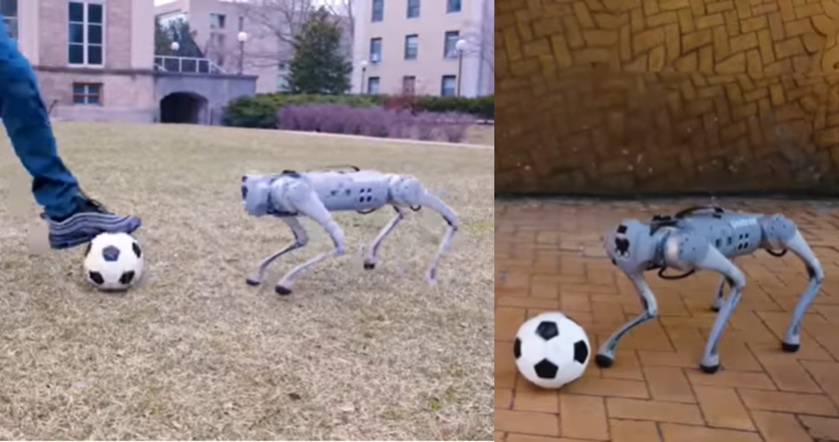 Crean un perro robot